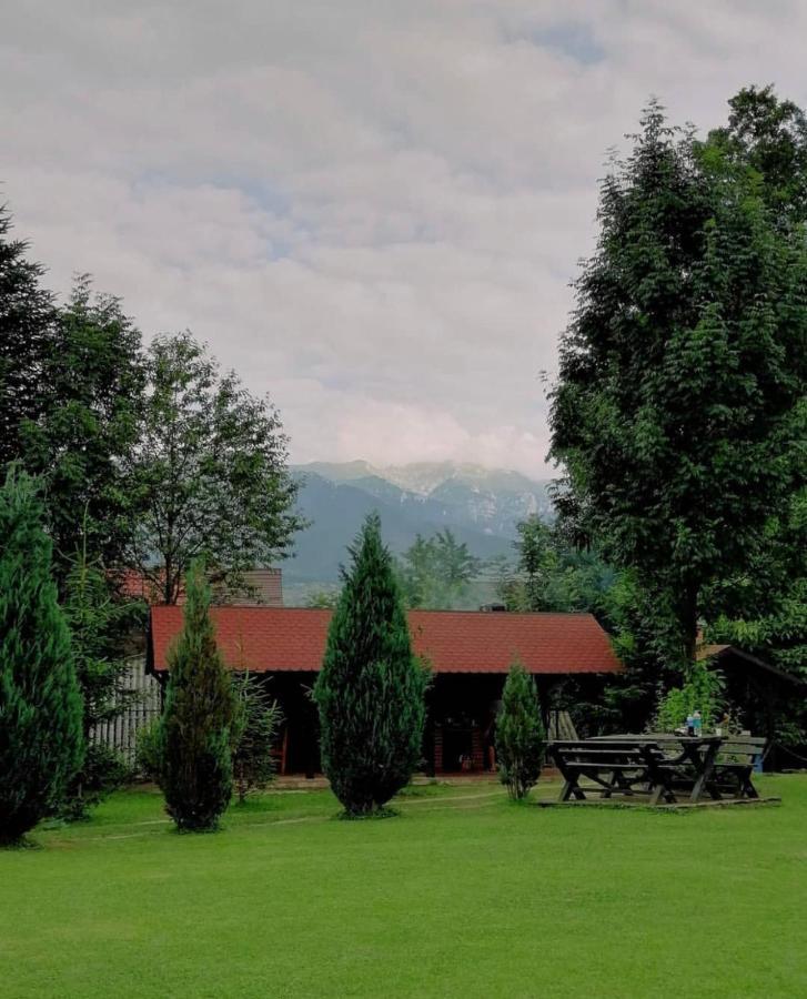Garden Retreat (Adults Only) Hotel Bran  Bagian luar foto
